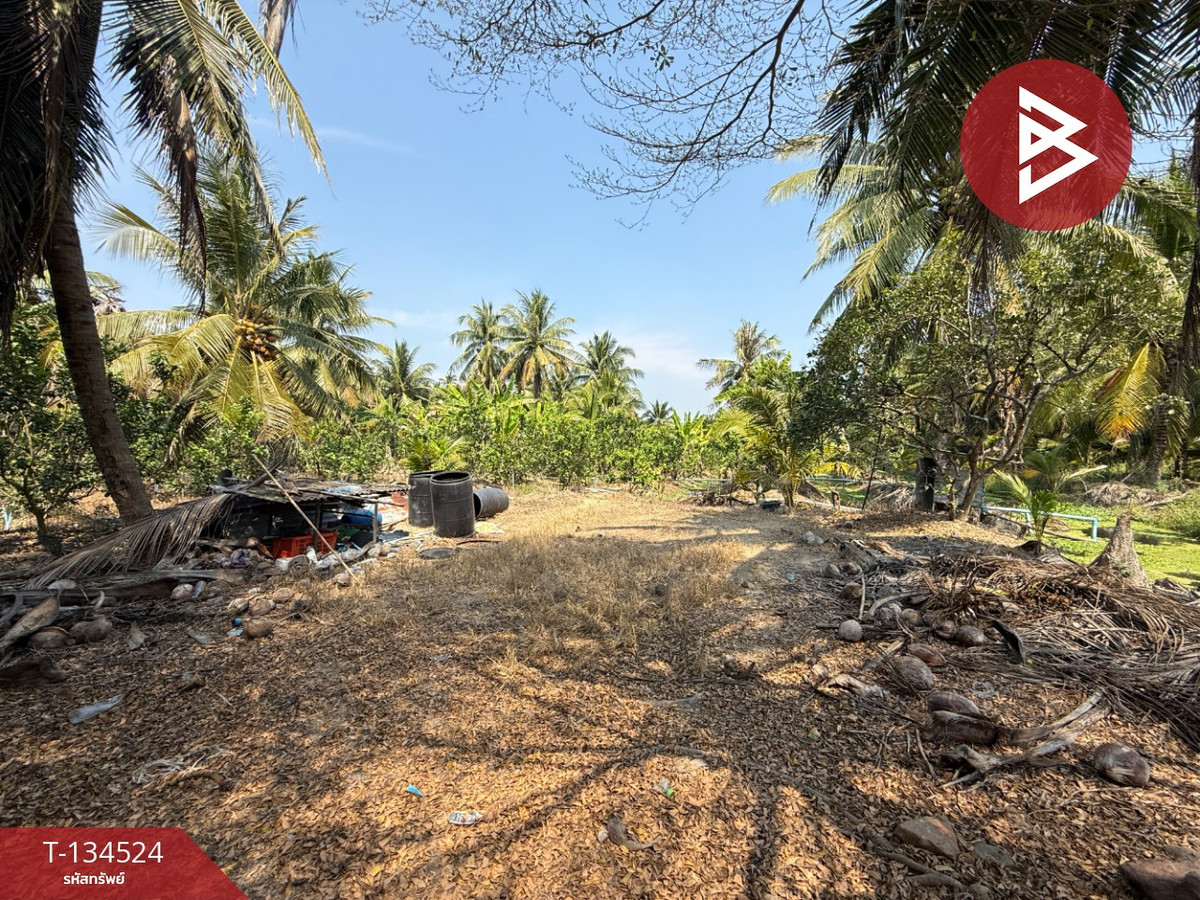 ขายที่ดิน เนื้อที่ 3 ไร่ 3 งาน 1 ตร.วา อัมพวา สมุทรสงคราม