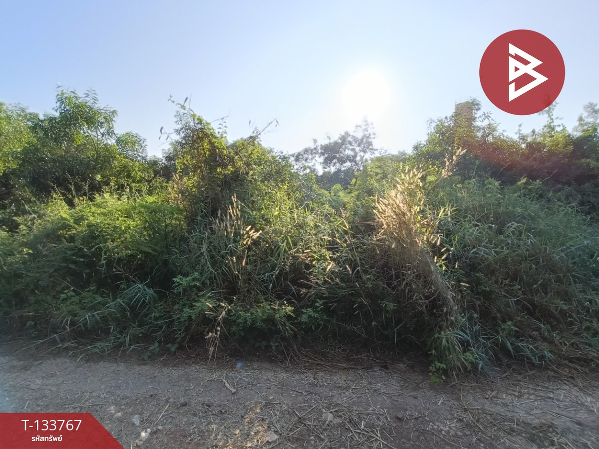 ขายที่ดิน เนื้อที่ 4 ไร่ 3 งาน 93 ตารางวา ลาดบัวหลวง พระนครศรีอยุธยา