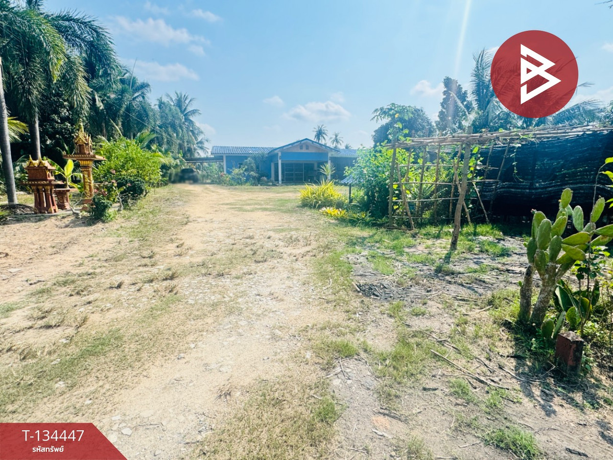 ขายบ้านเดียวชั้นเดียวพร้อมที่ดิน เนื้อที่ 1 ไร่ บางละมุง ชลบุรี พื้นที่กว้างขวาง