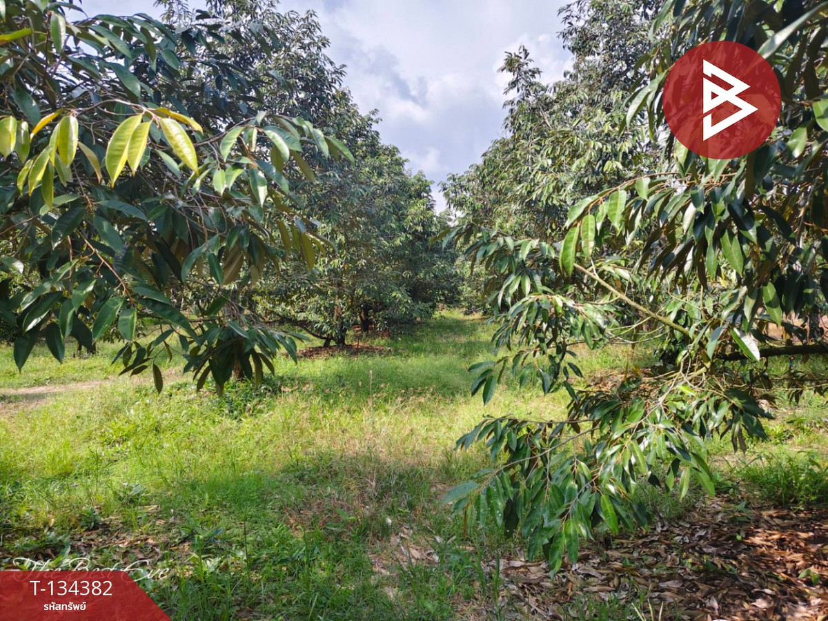 ขายที่ดินสวนทุเรียน เนื้อที่ 1 ไร่ 1 งาน 30 ตารางวา แกลง ระยอง