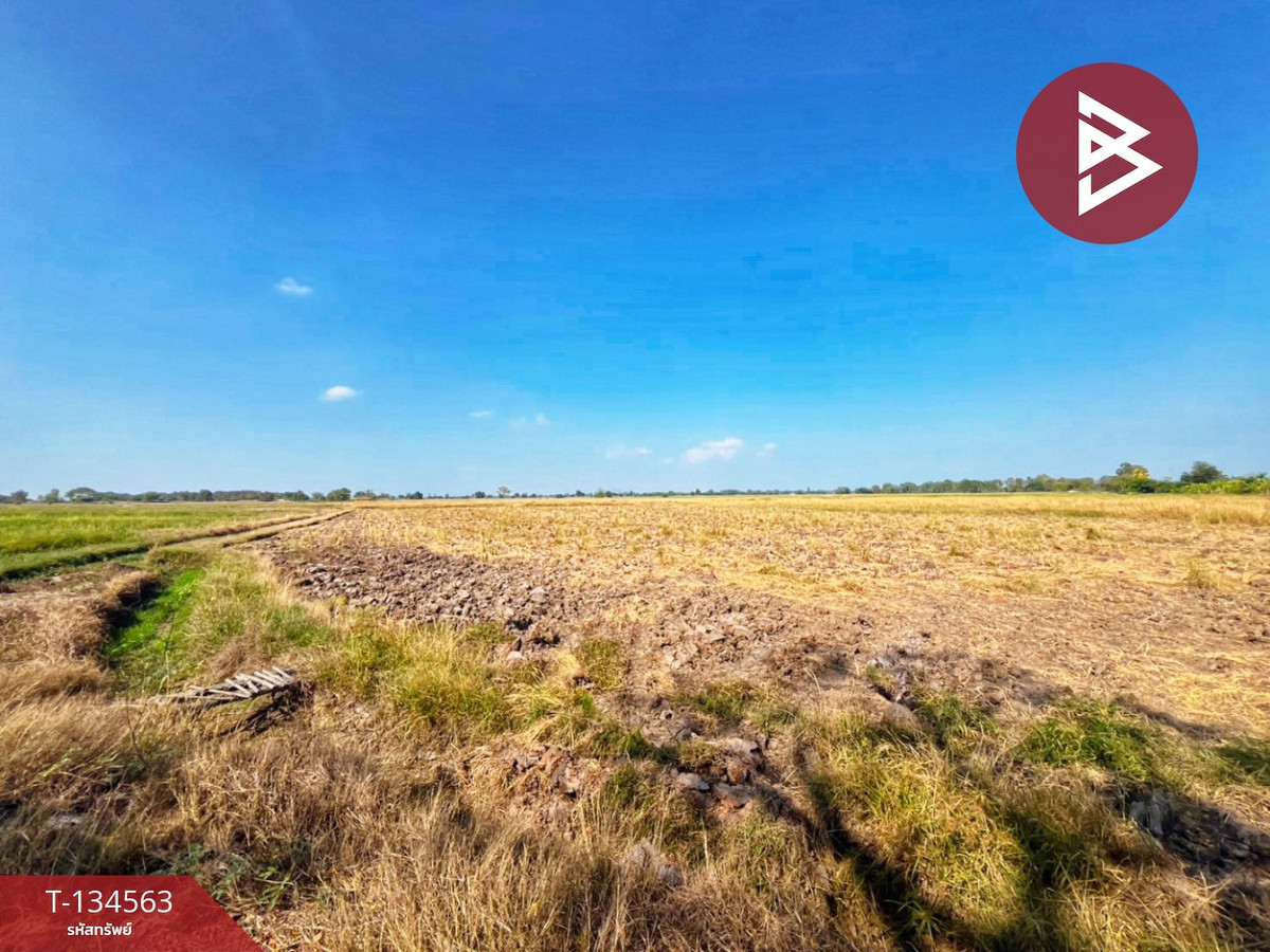 ขายที่ดินที่นา เนื้อที่ 4 ไร่ 13 ตารางวา ต.ตลุก อ.สรรพยา จ.ชัยนาท