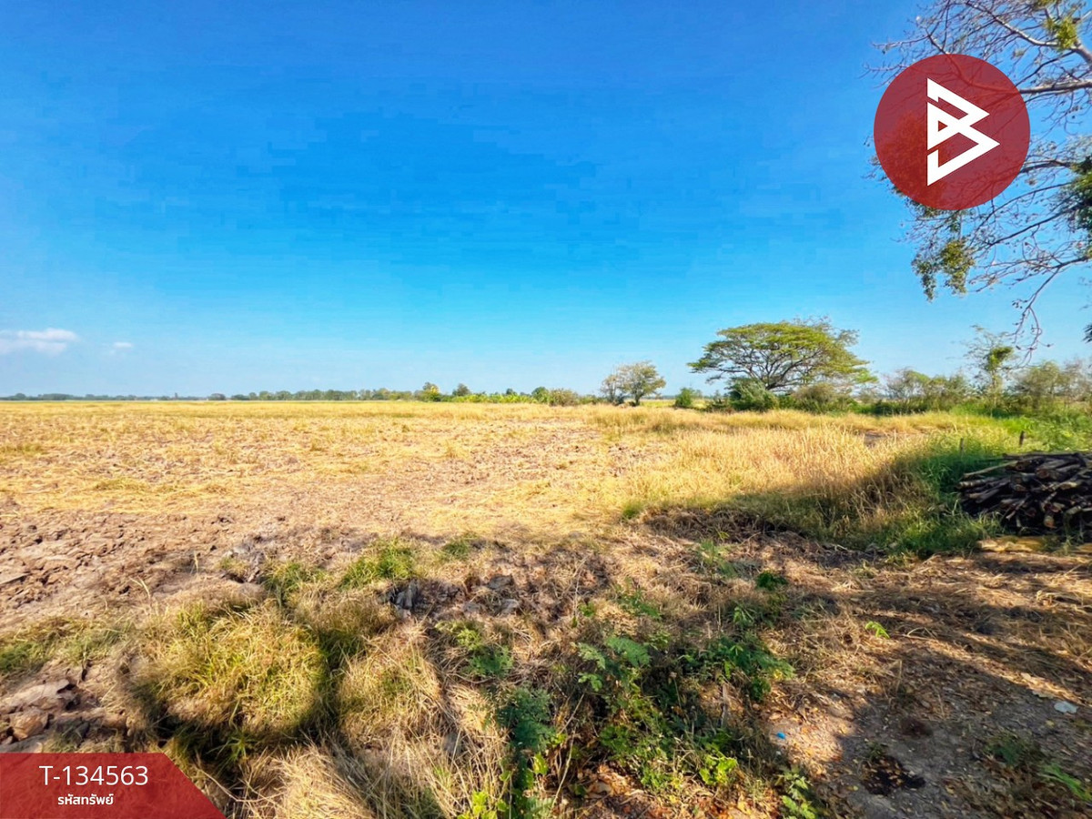 ขายที่ดินที่นา เนื้อที่ 4 ไร่ 13 ตารางวา ต.ตลุก อ.สรรพยา จ.ชัยนาท