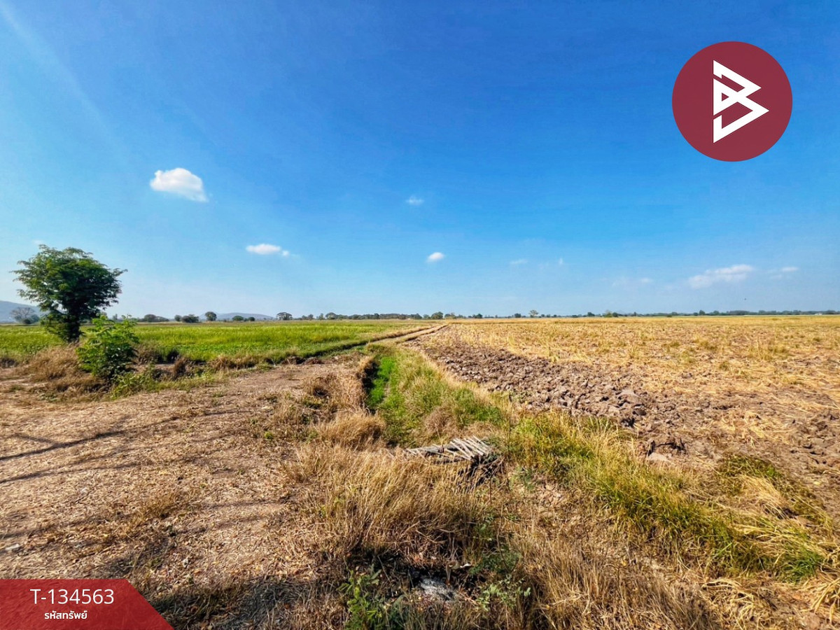 ขายที่ดินที่นา เนื้อที่ 4 ไร่ 13 ตารางวา ต.ตลุก อ.สรรพยา จ.ชัยนาท