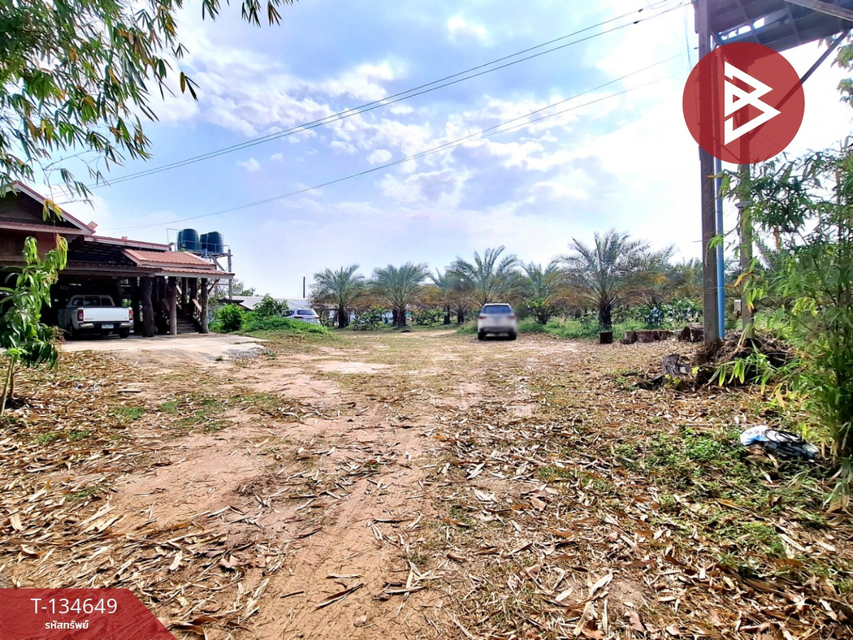 ขายบ้านเดี่ยวพร้อมที่ดิน เนื้อที่ 12 ไร่ 49 ตร.วา โนนตาล ร้อยเอ็ด