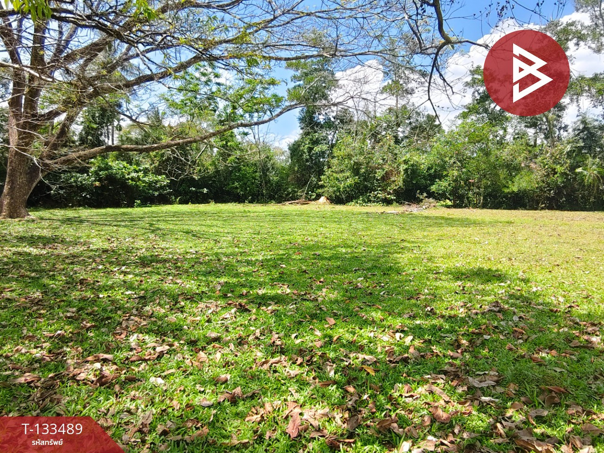 ขายที่ดิน เนื้อที่ 1 ไร่ 2 งาน 50 ตร.วา จุฬาภรณ์ นครศรีธรรมราช