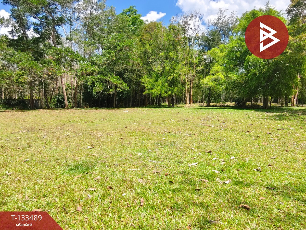 ขายที่ดิน เนื้อที่ 1 ไร่ 2 งาน 50 ตร.วา จุฬาภรณ์ นครศรีธรรมราช