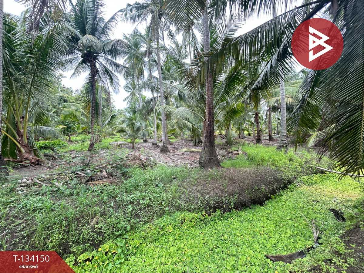 ขายที่ดิน เนื้อที่ 7 ไร่ 2 งาน 7.7 ตร.วา ปากท่อ ราชบุรี