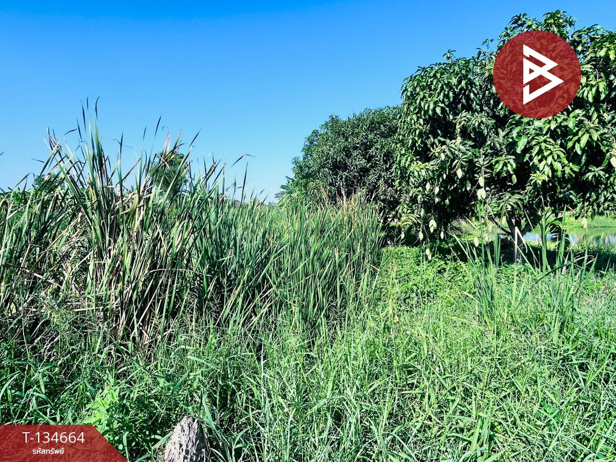 ขายที่ดิน เนื้อที่ 3 งาน 60 ตร.วา มีนบุรี กรุงเทพมหานคร