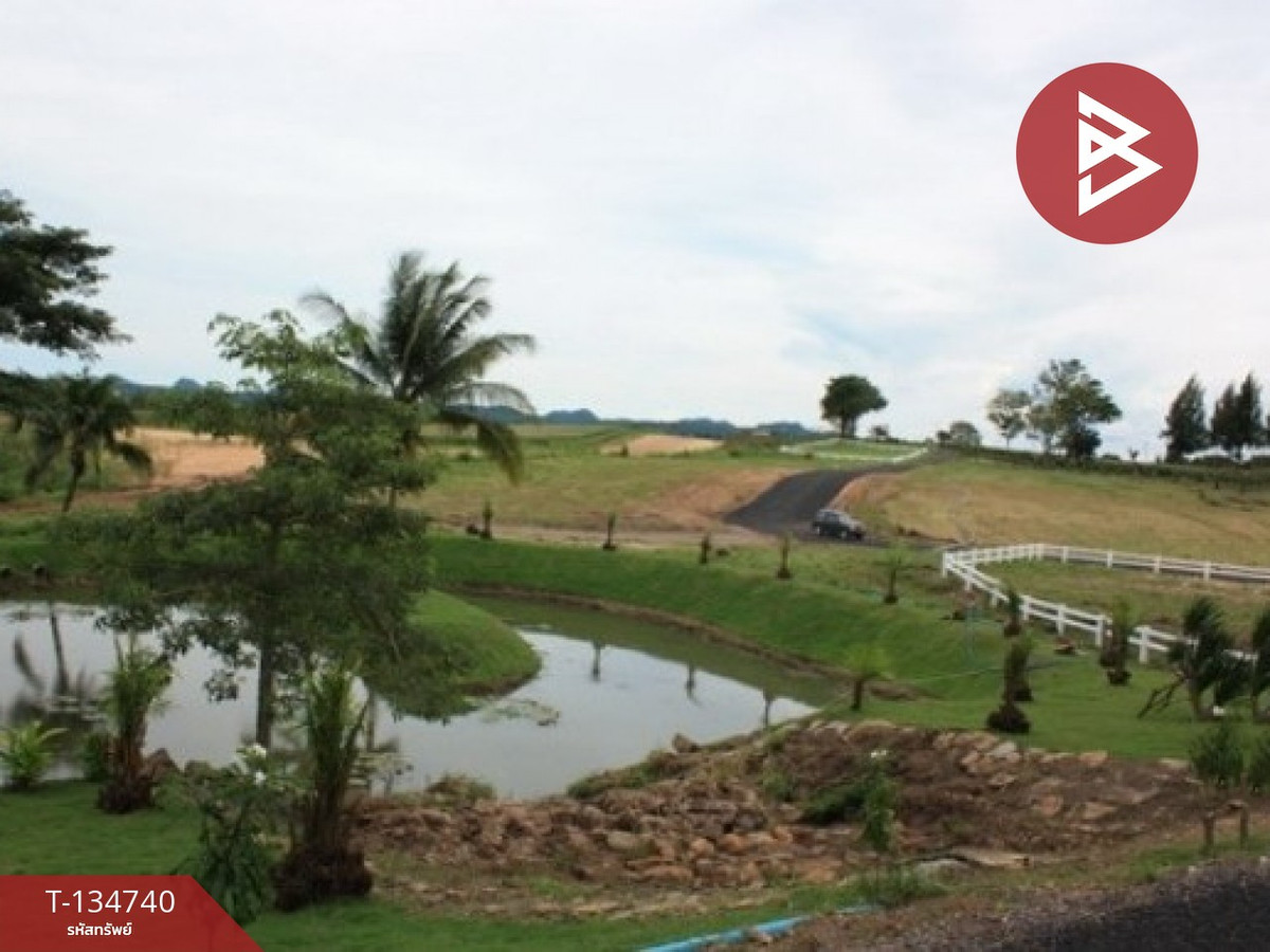 ขายที่ดิน โครงการเดอะลูฟท์ วังไทร ปากช่อง นครราชสีมา (The Luft)