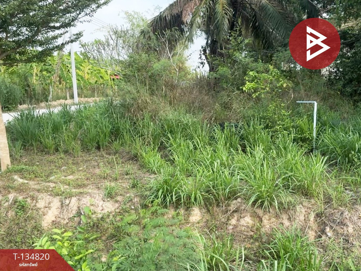 ขายที่ดิน เนื้อที่ 2 ไร่ 3 งาน 93.5 ตร.วา นิคมพัฒนา ระยอง