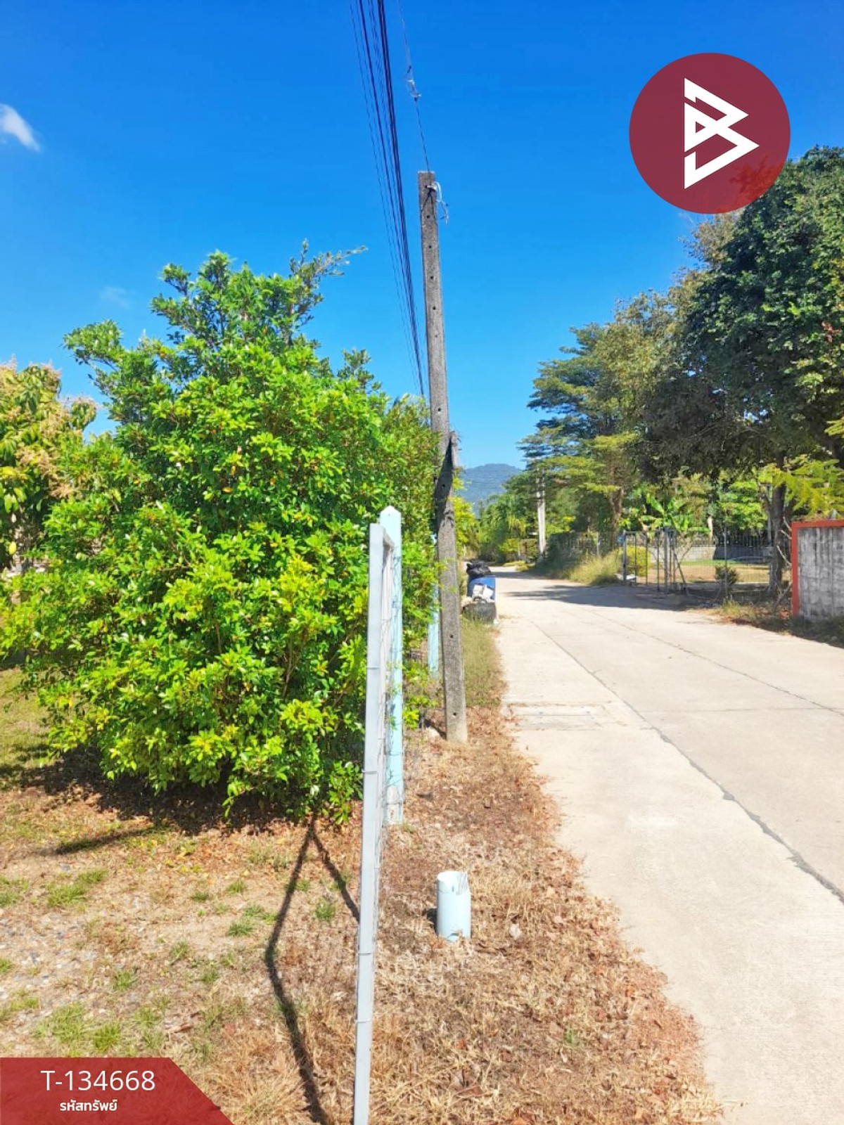 ขายที่ดิน เนื้อที่ 106.2 ตารางวา ต.เพ ระยอง