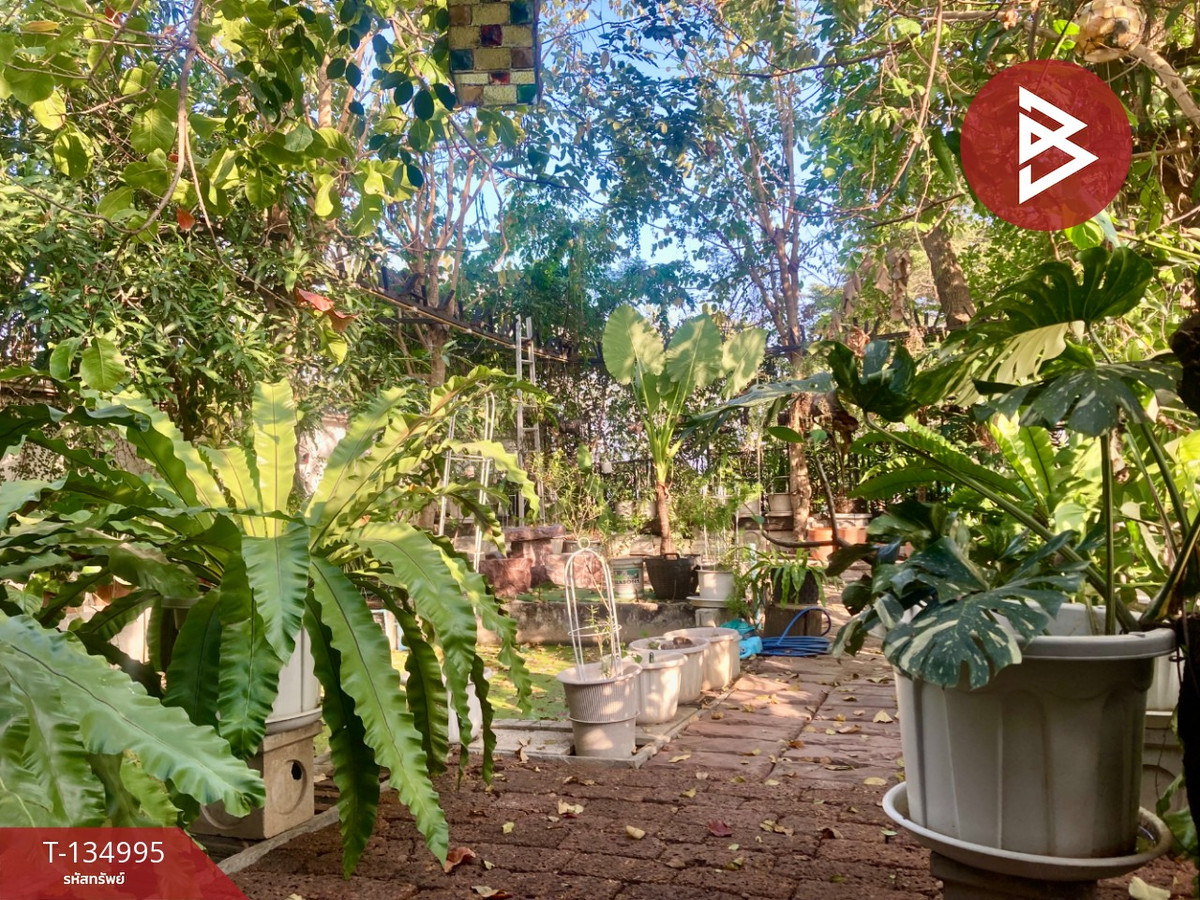 ขายบ้านเดี่ยวหลังใหญ่ หมู่บ้านพฤกษ์ลดา ติวานนท์-ราชพฤกษ์ นนทบุรี