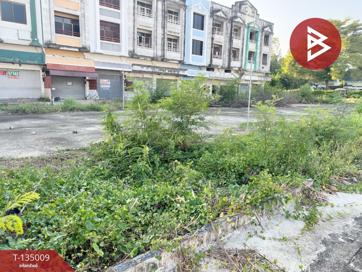 ขายที่ดิน เนื้อที่ 1 งาน 60 ตร.วา บ้านฉาง ระยอง