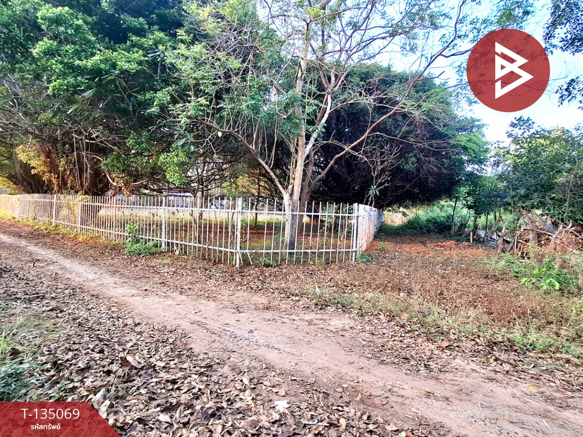 ขายที่ดิน เนื้อที่ 7 ไร่ 44.3 ตร.วา โนนรัง ร้อยเอ็ด