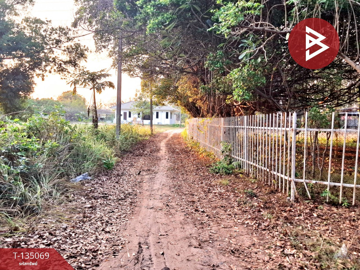 ขายที่ดิน เนื้อที่ 7 ไร่ 44.3 ตร.วา โนนรัง ร้อยเอ็ด