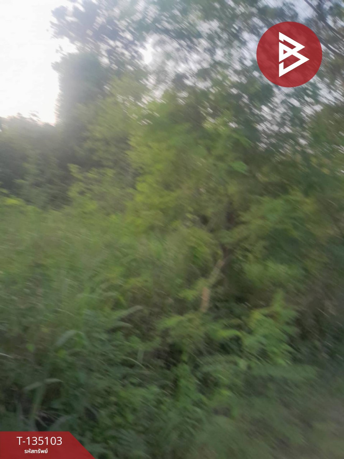 ขายที่ดิน เนื้อที่ 3 งาน 37.5 ตร.วา บางสะพาน ประจวบคีรีขันธ์