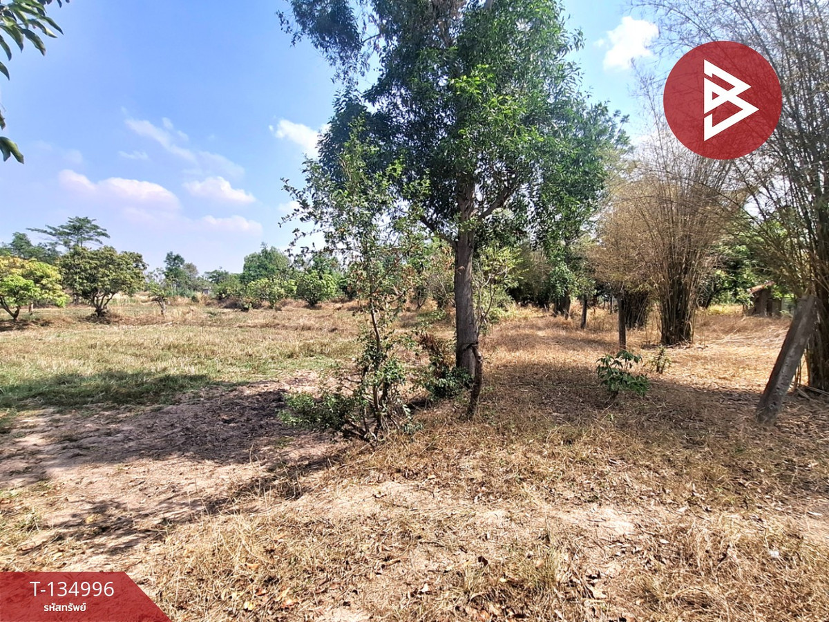 ขายที่ดิน เนื้อที่ 3 ไร่ 1 งาน 96 ตร.วา วาปีปทุม มหาสารคาม