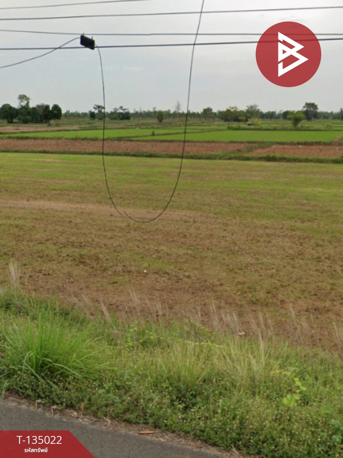 ขายด่วน ที่ดินเปล่า 4 ไร่  ประโคนชัย บุรีรัมย์