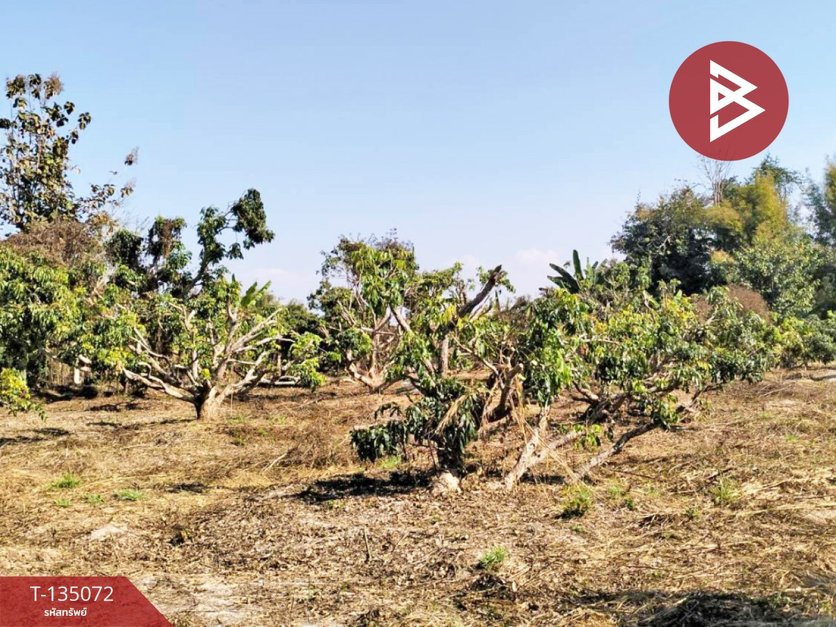 ขายที่ดิน เนื้อที่ 1 ไร่ 2 งาน 46 ตร.วา จอมทอง เชียงใหม่