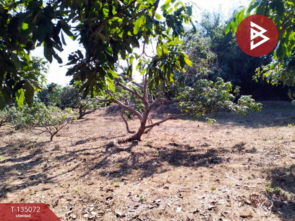 ขายที่ดิน เนื้อที่ 1 ไร่ 2 งาน 46 ตร.วา จอมทอง เชียงใหม่