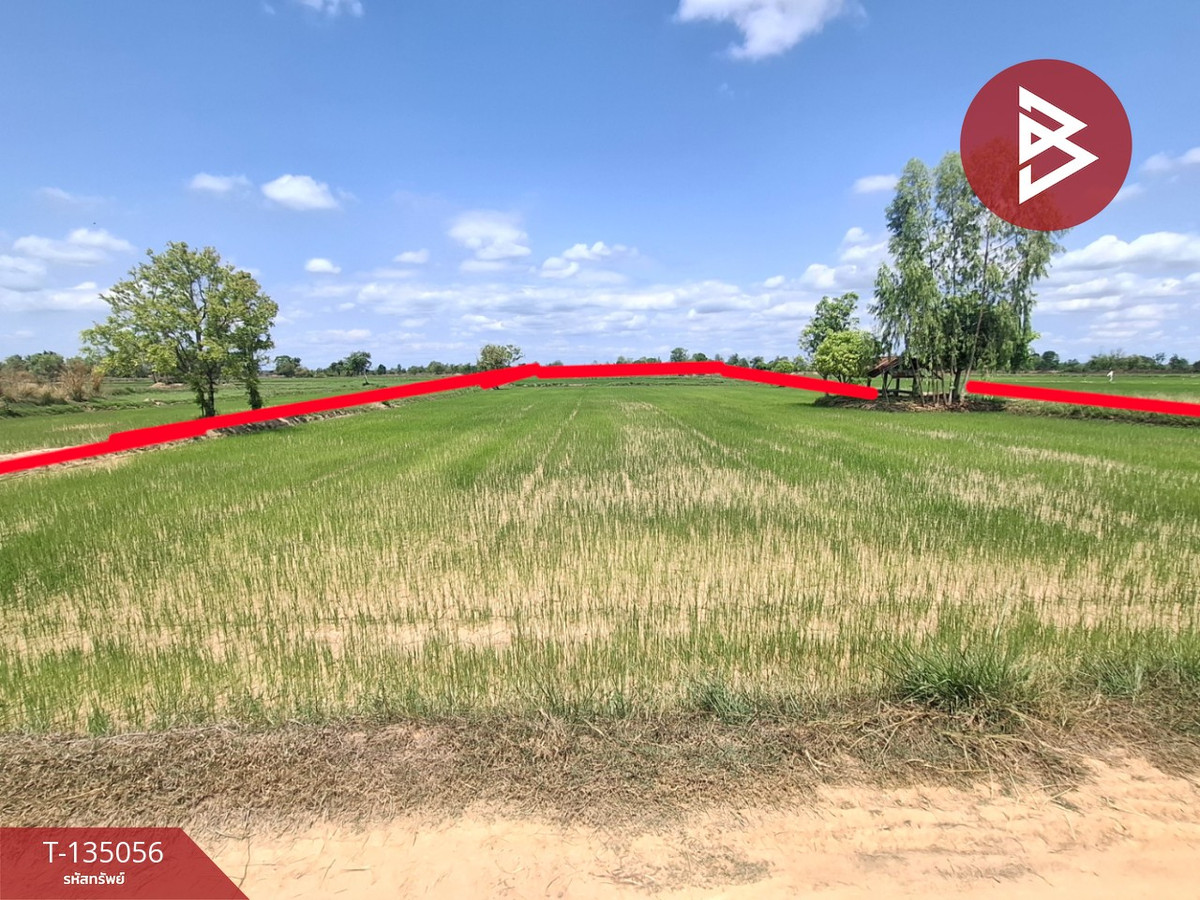 ขายที่ดิน เนื้อที่ 4 ไร่ 1 งาน 74 ตร.วา จังหาร ร้อยเอ็ด