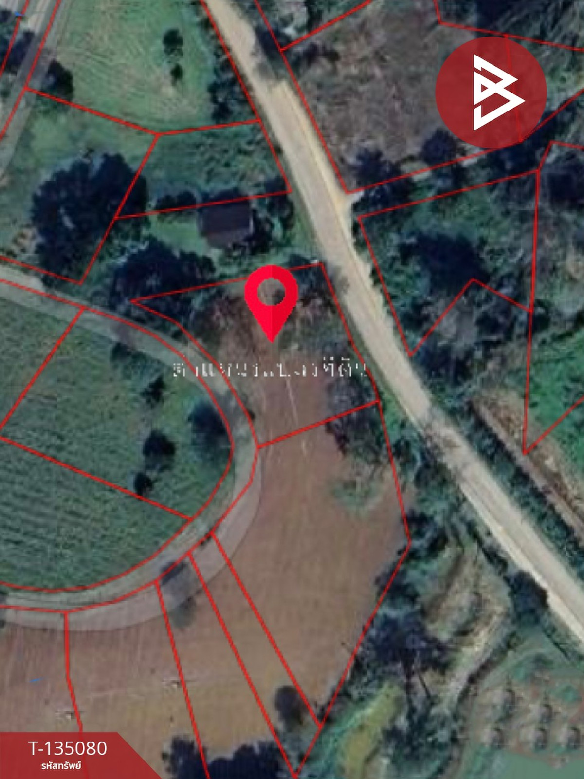 ขายที่ดิน เนื้อที่ 3 งาน 81 ตารางวา เขาค้อ เพชรบรูณ์