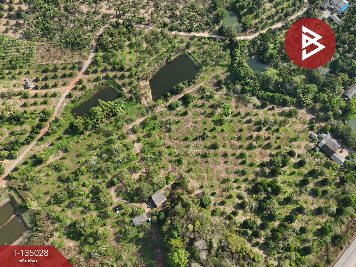 ขายที่ดินพร้อมสวนผลไม้ เนื้อที่ 18 ไร่ 1 งาน 1.8 ตารางวา แสลง จันทบุรี