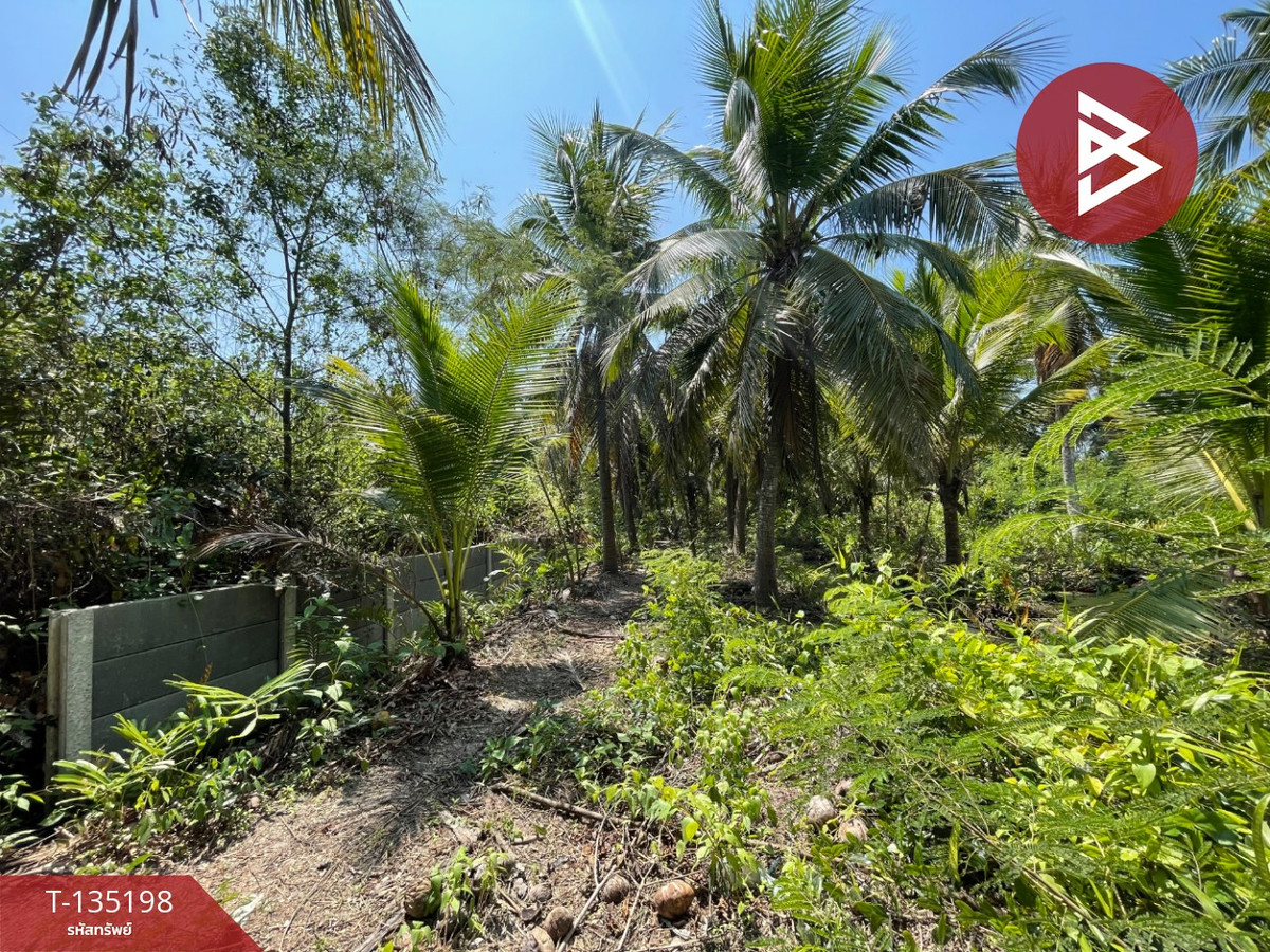 ขายที่ดิน เนื้อที่ 1 งาน 2.7 ตร.วา คลองเขิน สมุทรสงคราม