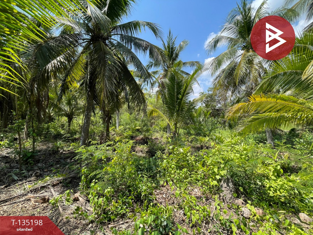 ขายที่ดิน เนื้อที่ 1 งาน 2.7 ตร.วา คลองเขิน สมุทรสงคราม