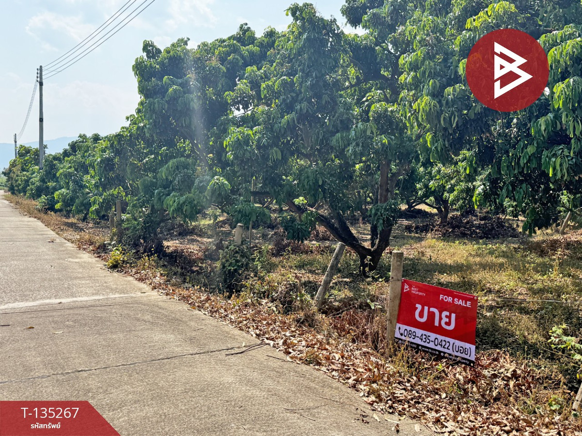 ขายที่ดิน เนื้อที่ 2 งาน 23.6 ตร.วา เวียงหนองล่อง ลำพูน