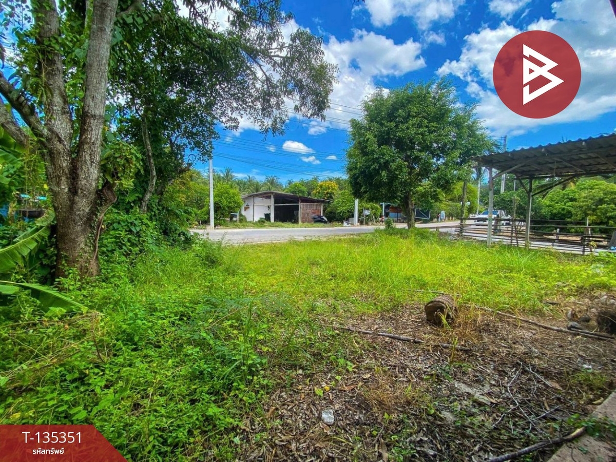 ขายที่ดิน เนื้อที่ 3 งาน 82.4 ตารางวา อัมพวา สมุทรสงคราม ทำเลดี ใกล้ถนนหลัก