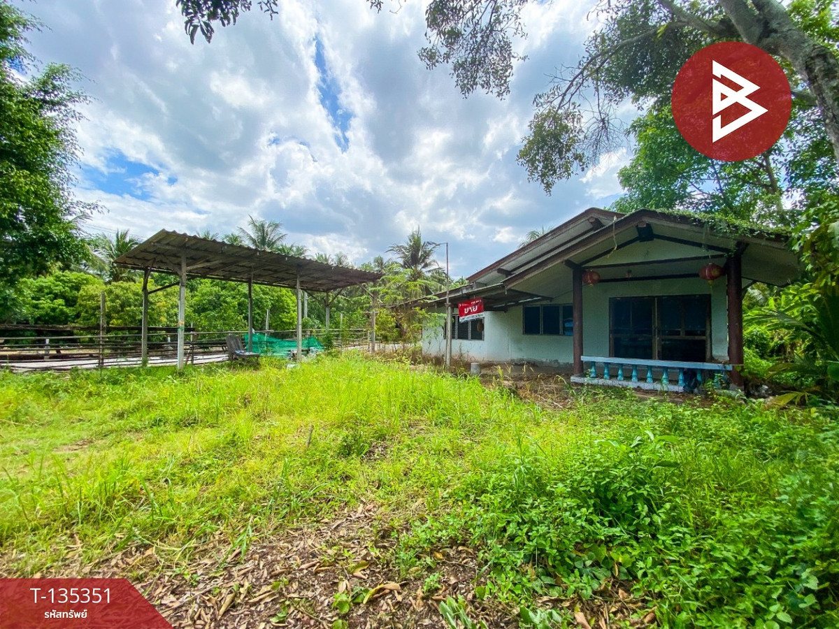 ขายที่ดิน เนื้อที่ 3 งาน 82.4 ตารางวา อัมพวา สมุทรสงคราม ทำเลดี ใกล้ถนนหลัก