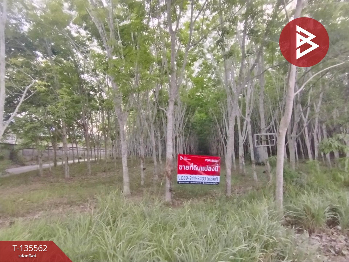 ขายที่ดิน เนื้อที่ 5 ไร่ 29 ตร.วา แกลง ระยอง