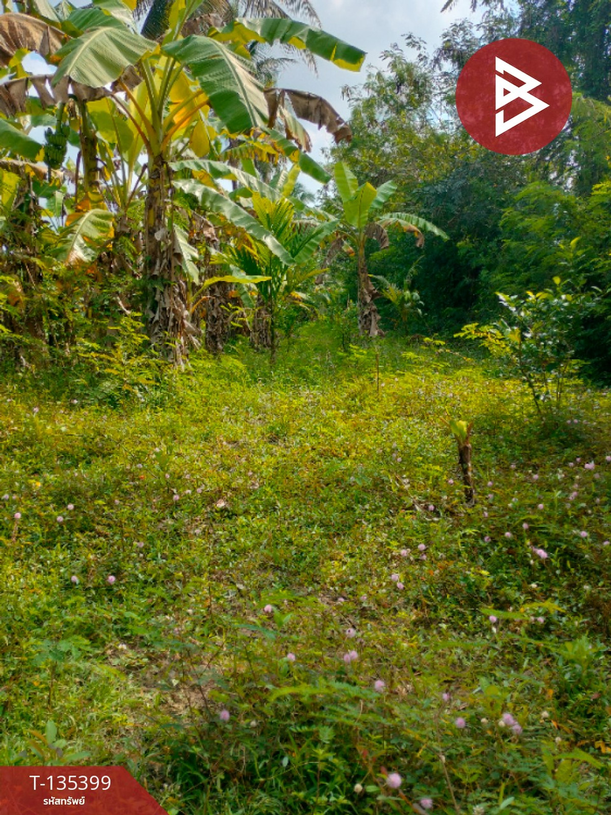 ขายที่ดิน เนื้อที่ 1 ไร่ 1 งาน 45.4 ตร.วา ปากนคร นครศรีธรรมราช