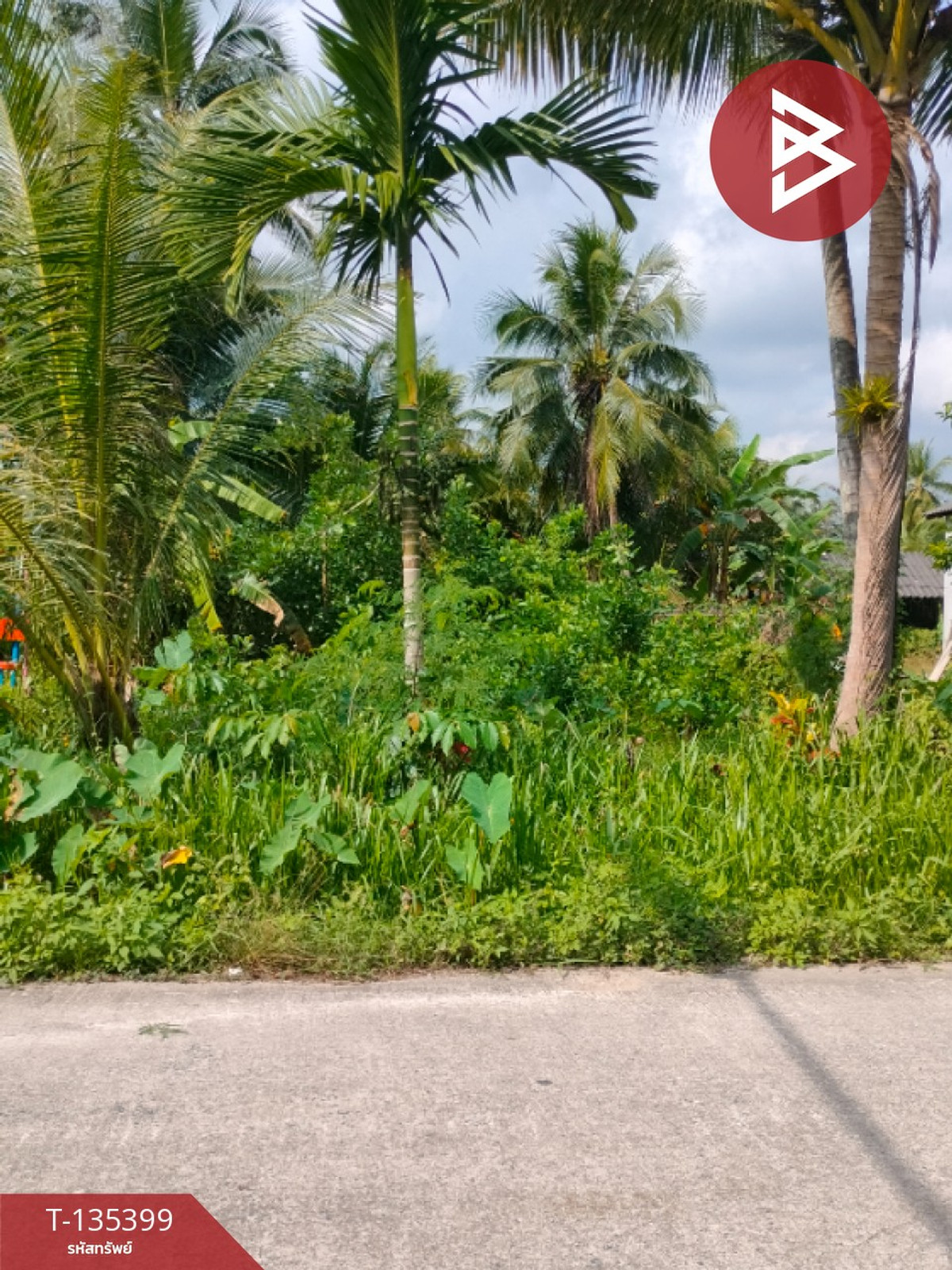 ขายที่ดิน เนื้อที่ 1 ไร่ 1 งาน 45.4 ตร.วา ปากนคร นครศรีธรรมราช