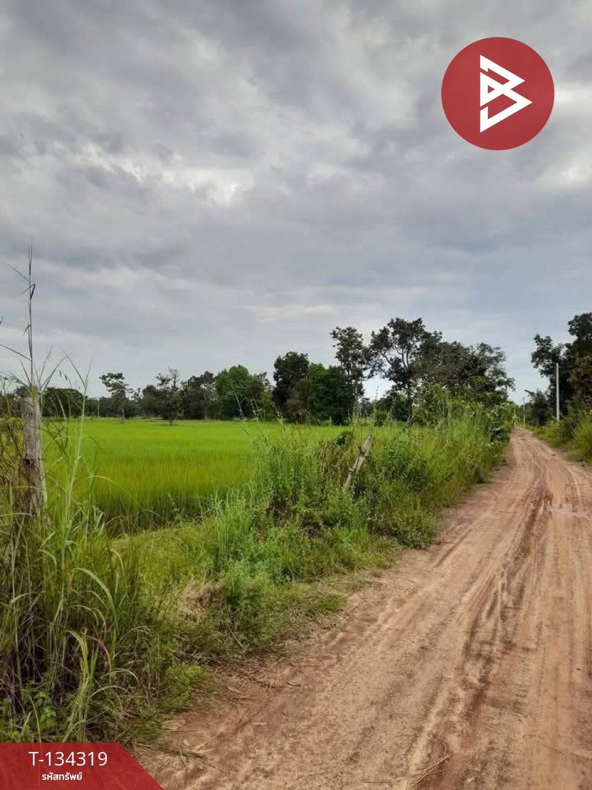 ขายที่ดินเปล่า เนื้อที่ 8 ไร่ 98.6 ตร.วา บุ่ง อำนาจเจริญ