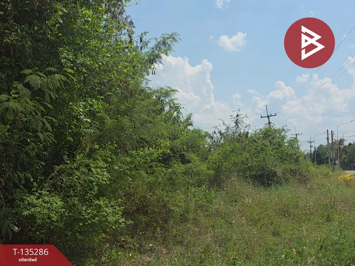 ขายที่ดินพร้อมสวนผลไม้ เนื้อที่ 3 ไร่ 3 งาน 20 ตารางวา พนัสนิคม ชลบุรี