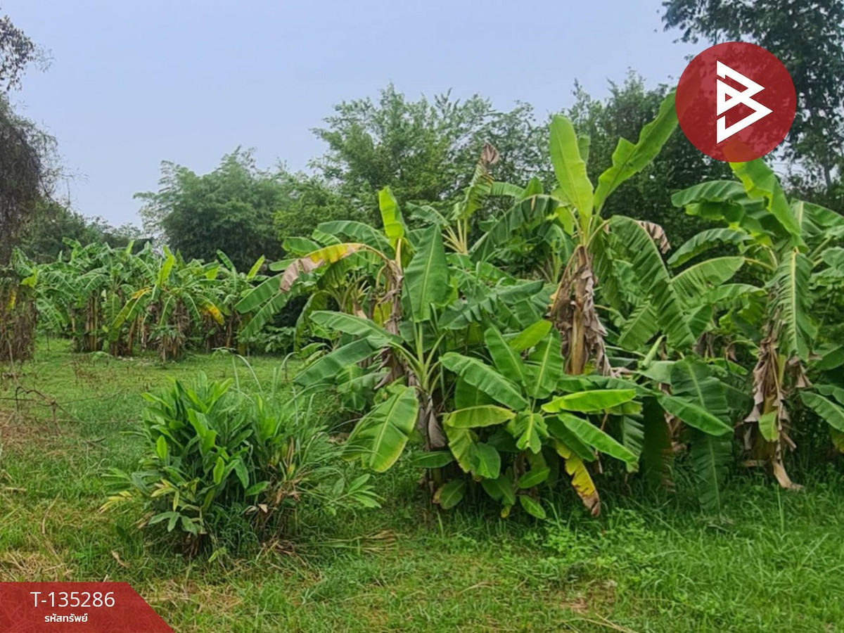 ขายที่ดินพร้อมสวนผลไม้ เนื้อที่ 3 ไร่ 3 งาน 20 ตารางวา พนัสนิคม ชลบุรี