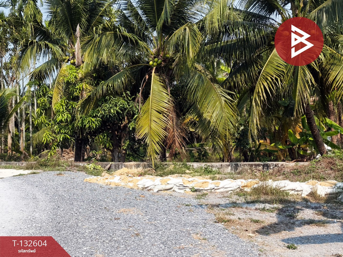 ขายที่ดินสวนมะพร้าว เนื้อที่ 200 ตารางวา สามพราน นครปฐม