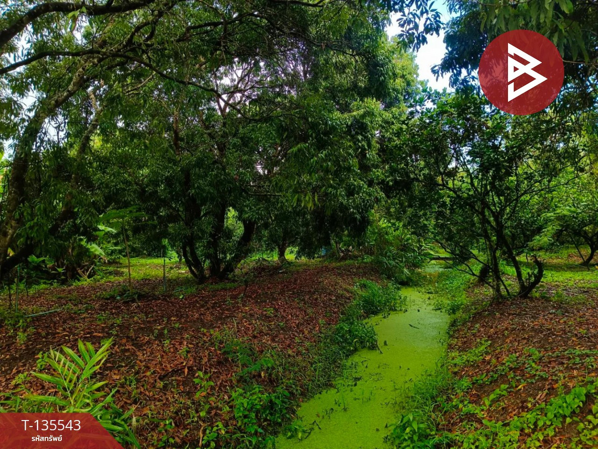 ขายที่ดินสวนผสม เนื้อที่ 9 ไร่ 2 งาน 18 ตารางวา อัมพวา สมุทรสงคราม