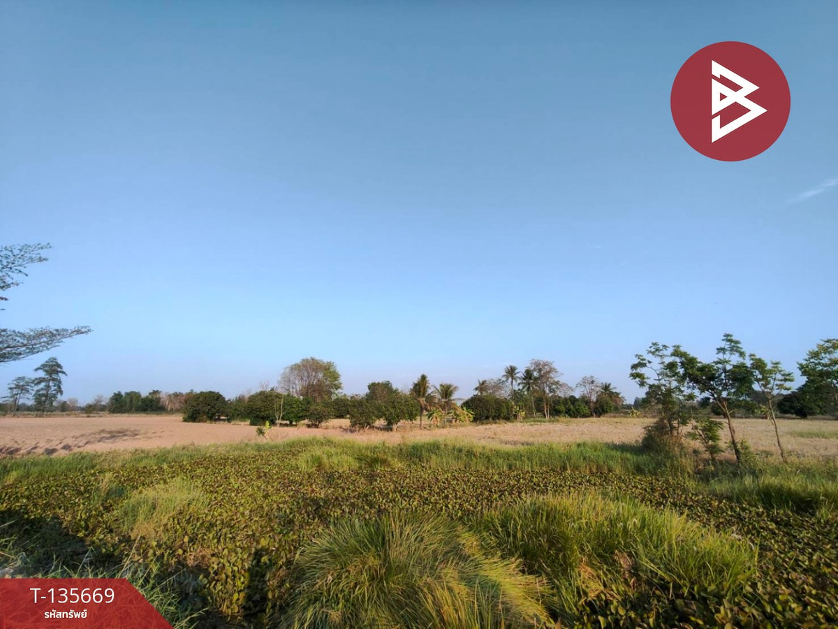 ขายที่ดินแปลงใหญ่ เนื้อที่ 29 ไร่ 3 งาน 4 ตารางวา ลาดยาว นครสวรรค์