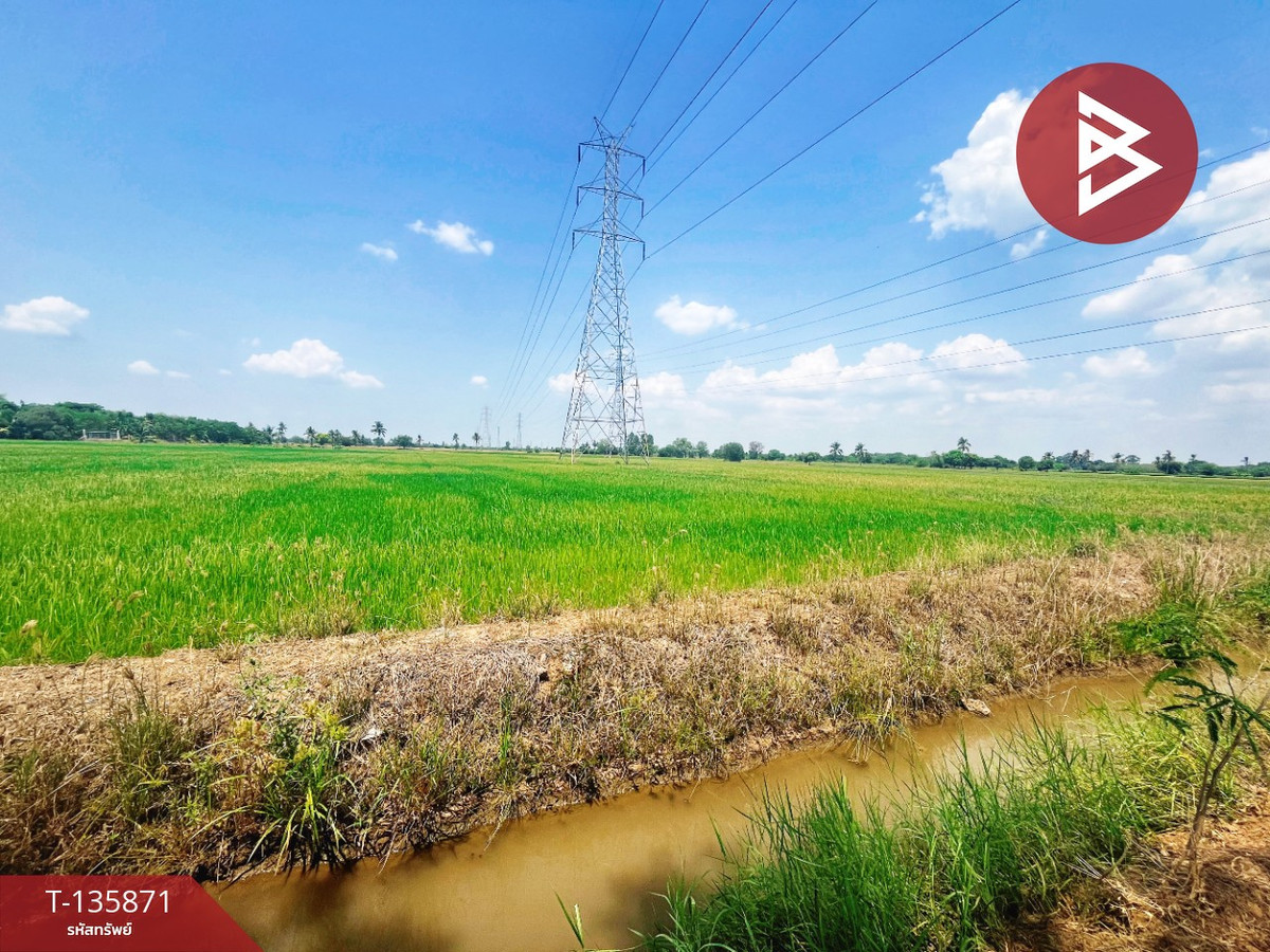 ขายที่ดิน เนื้อที่ 6 ไร่ 3 งาน 25.2 ตร.วา สรรพยา ชัยนาท