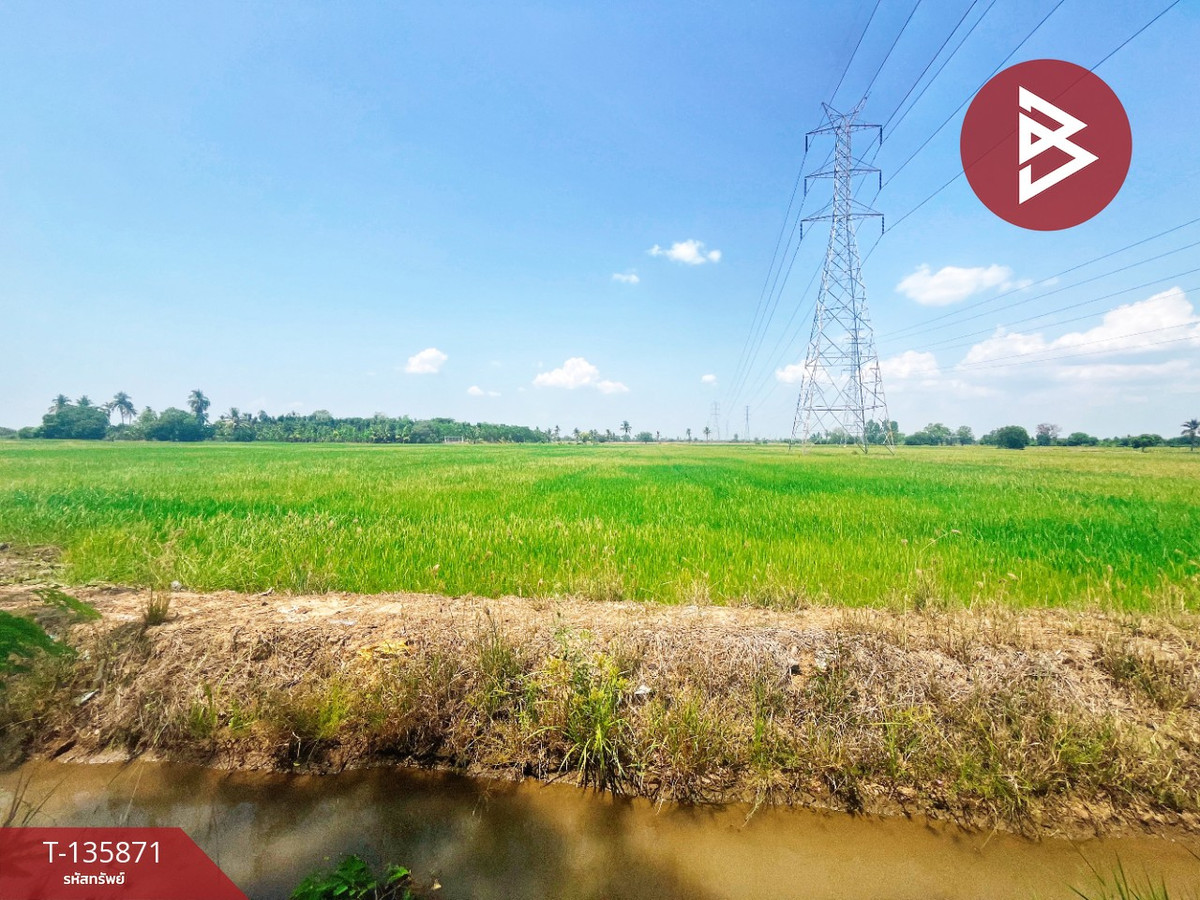 ขายที่ดิน เนื้อที่ 6 ไร่ 3 งาน 25.2 ตร.วา สรรพยา ชัยนาท