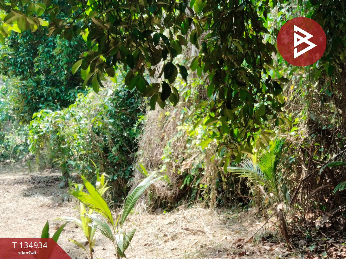 ขายที่ดินแปลงสวย เนื้อที่ 5 ไร่ 21.3 ตารางวา นาทุ่ง ชุมพร