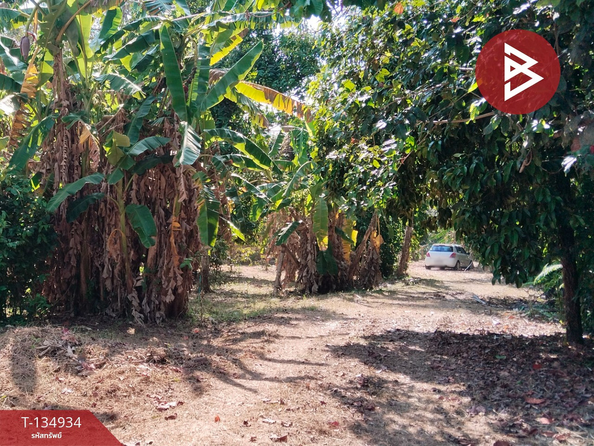 ขายที่ดินแปลงสวย เนื้อที่ 5 ไร่ 21.3 ตารางวา นาทุ่ง ชุมพร