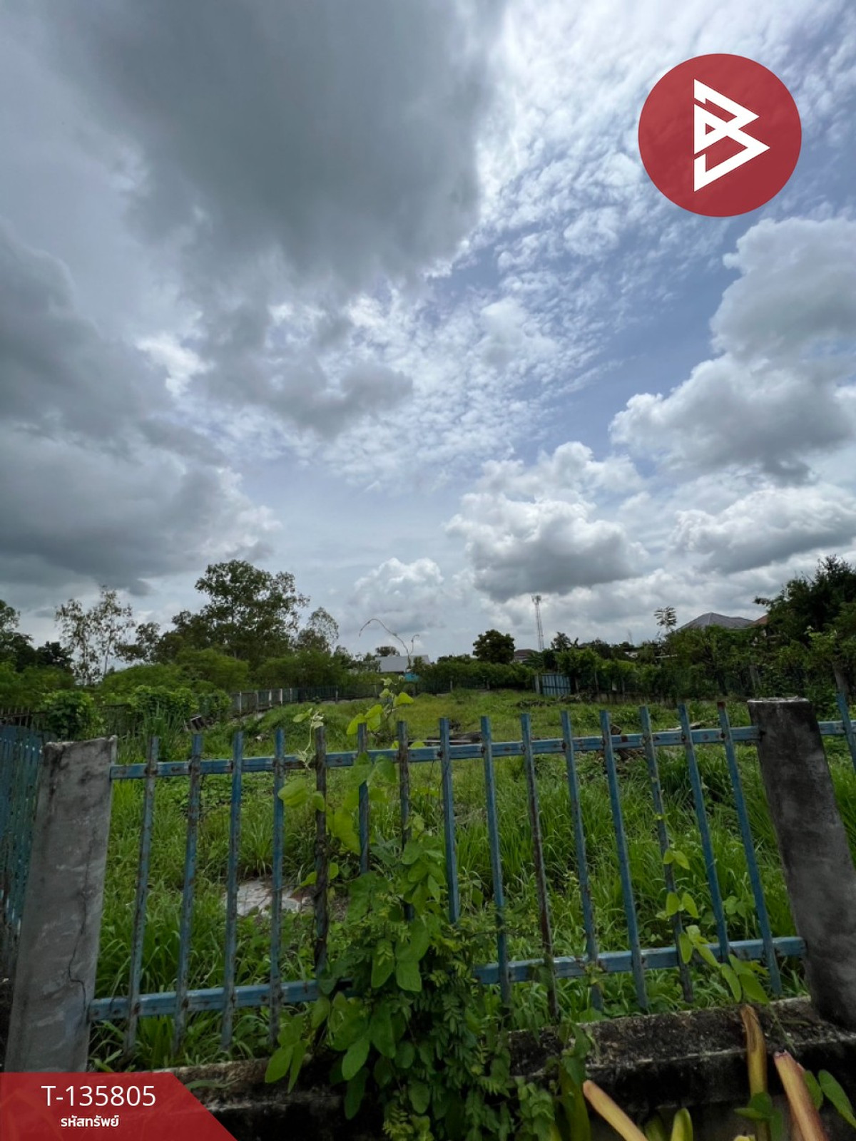 ขายที่ดิน เนื้อที่ 1 งาน 92.9 ตร.วา พนัสนิคม ชลบุรี