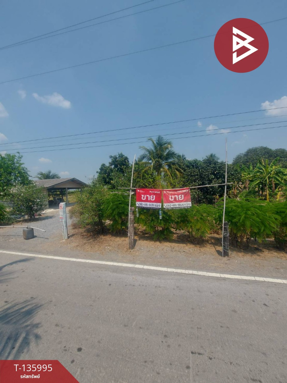 ขายที่ดิน เนื้อที่ 14 ไร่ 3 งาน 63 ตารางวา บางเลน นครปฐม