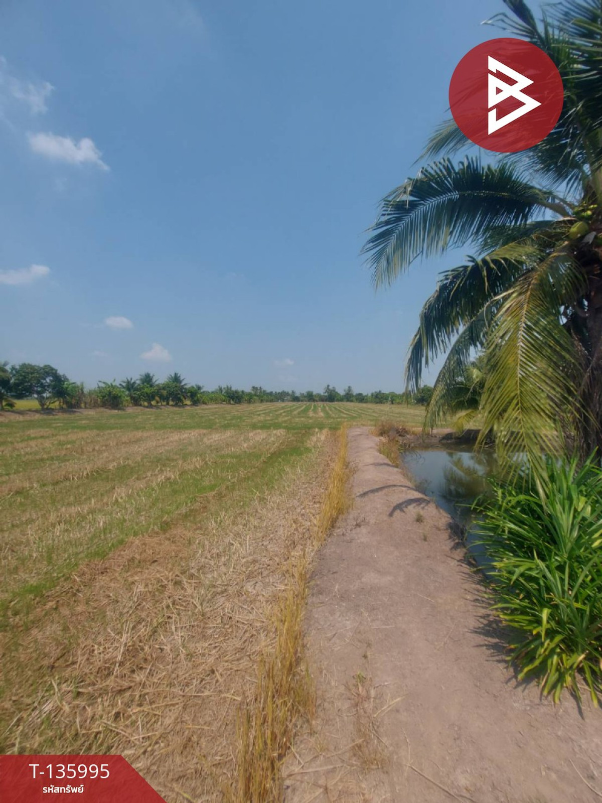 ขายที่ดิน เนื้อที่ 14 ไร่ 3 งาน 63 ตารางวา บางเลน นครปฐม