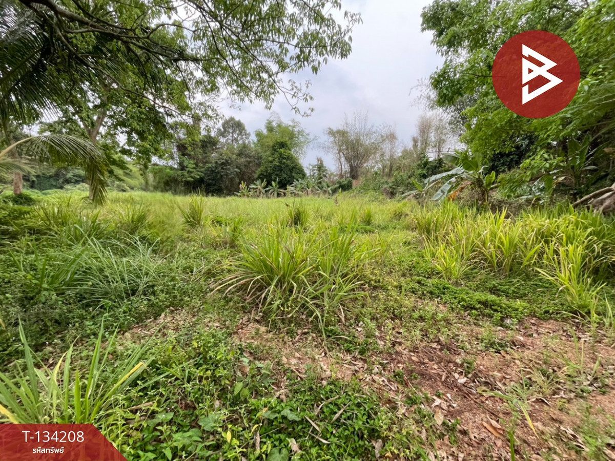 ขายที่ดิน เนื้อที่ 6 ไร่ 1 งาน 50 ตร.วา แก่งกระจาน เพชรบุรี