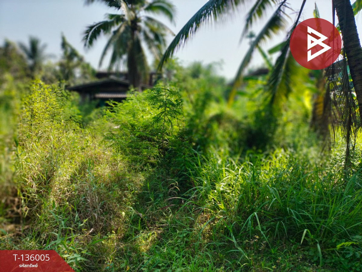 ขายบ้านเดี่ยวพร้อมที่ดิน เนื้อที่ 397 ตารางวา อ.อัมพวา สมุทรสงคราม